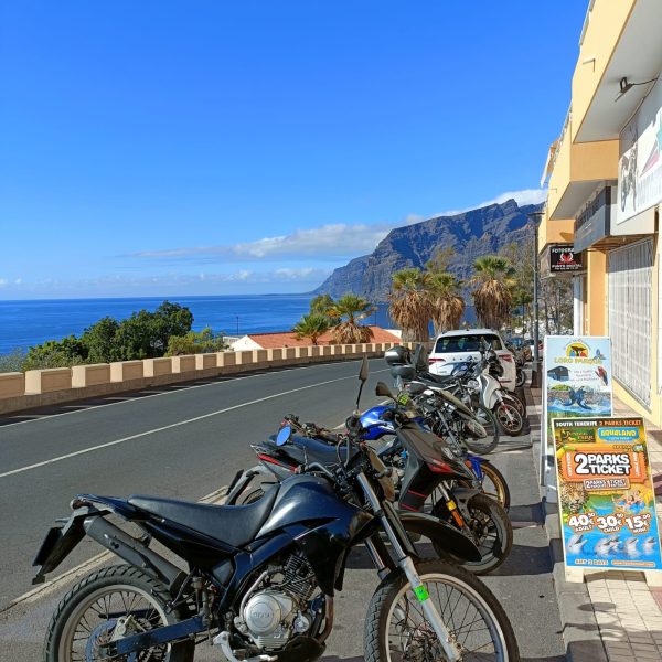 ad9ef367-a157-44bf-b3a4-753e16bb2dcc